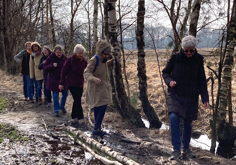Eine Gruppe älterer Menschen wandert hintereinander einen matschigen Waldweg entlang, umgeben von Birken.