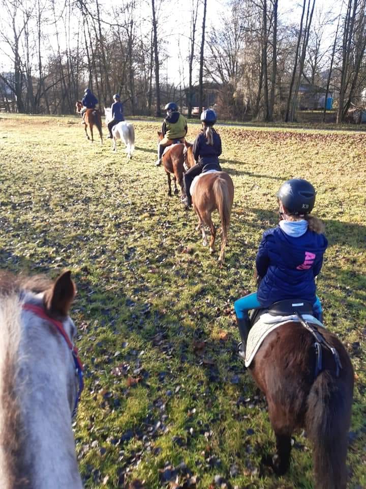 Gruppe von Kindern reitet hintereinander auf Pferden über eine Wiese, alle mit Helmen, Baumreihe im Hintergrund.