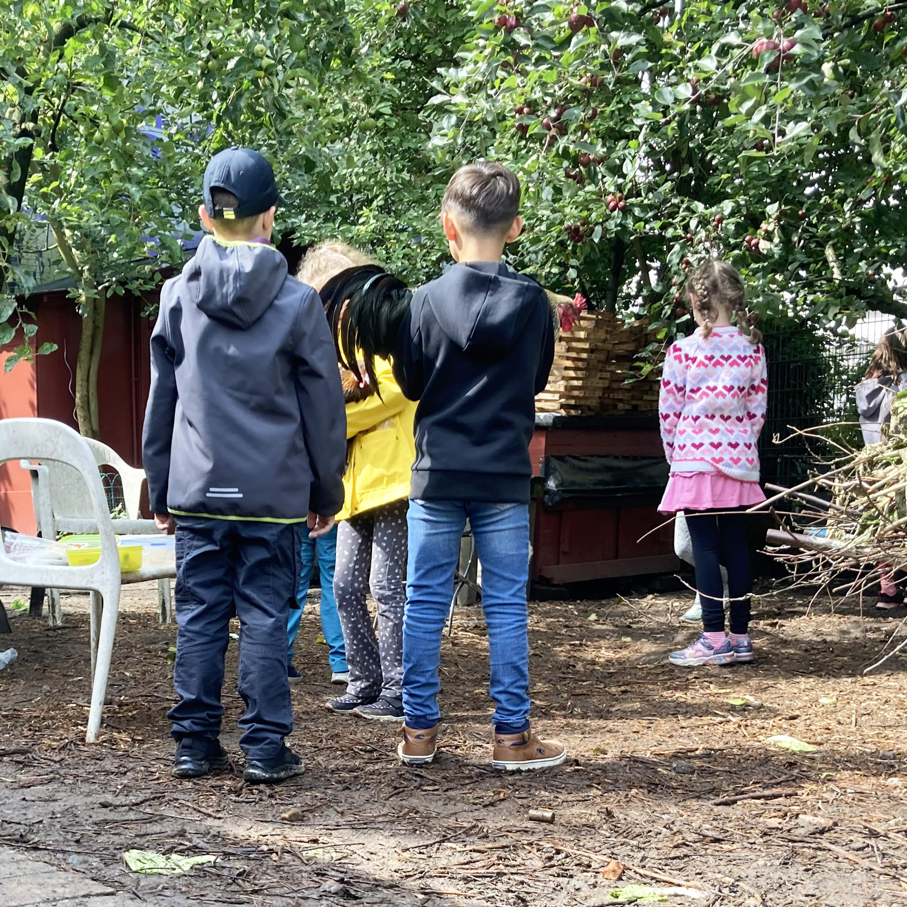 Gruppe von Kindern steht mit dem Rücken zur Kamera vor einem Obstbaum mit roten Früchten.