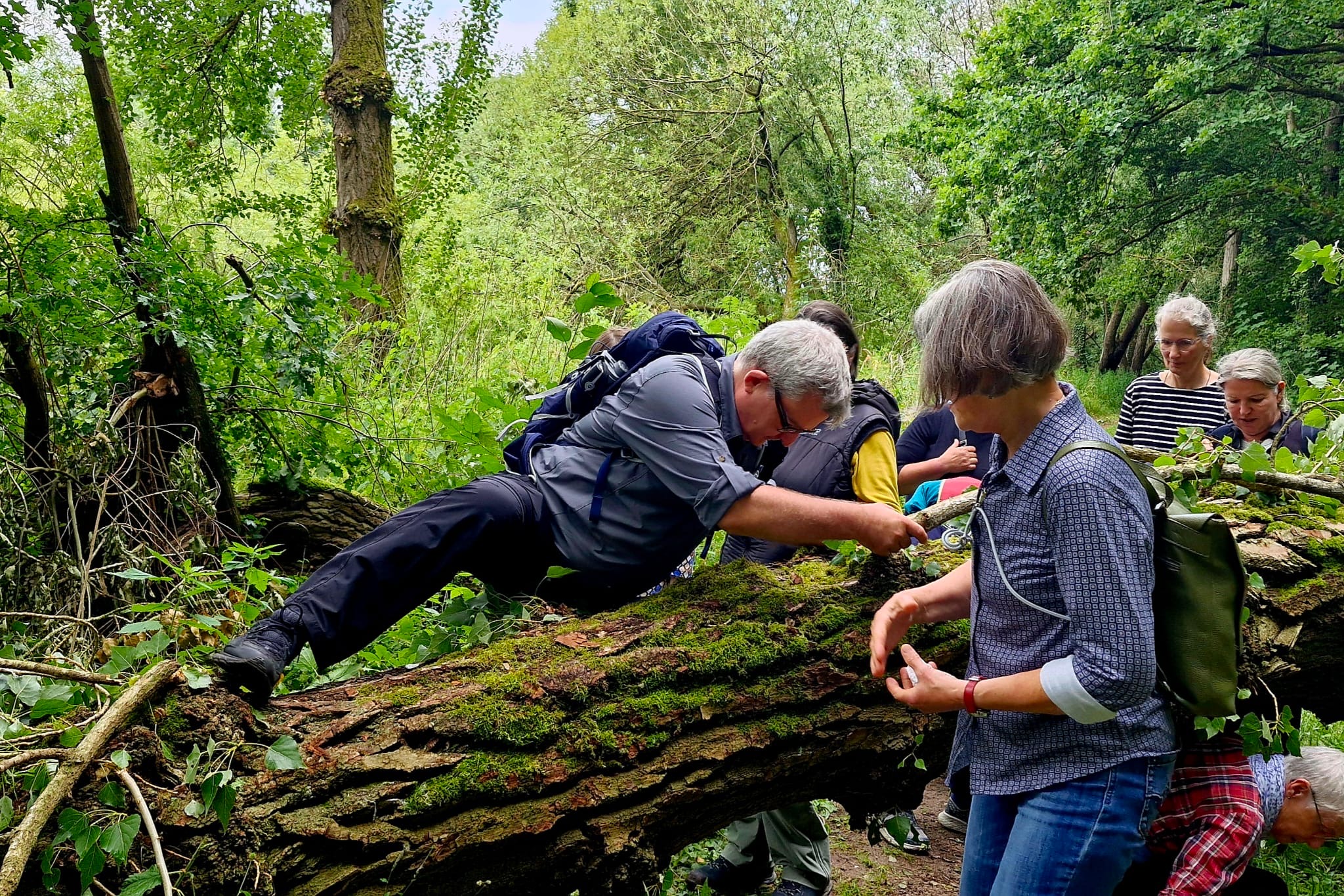 Mehrere Wanderer mit Rucksäcken stehen im Wald um einen moosbewachsenen, umgestürzten Baumstamm.