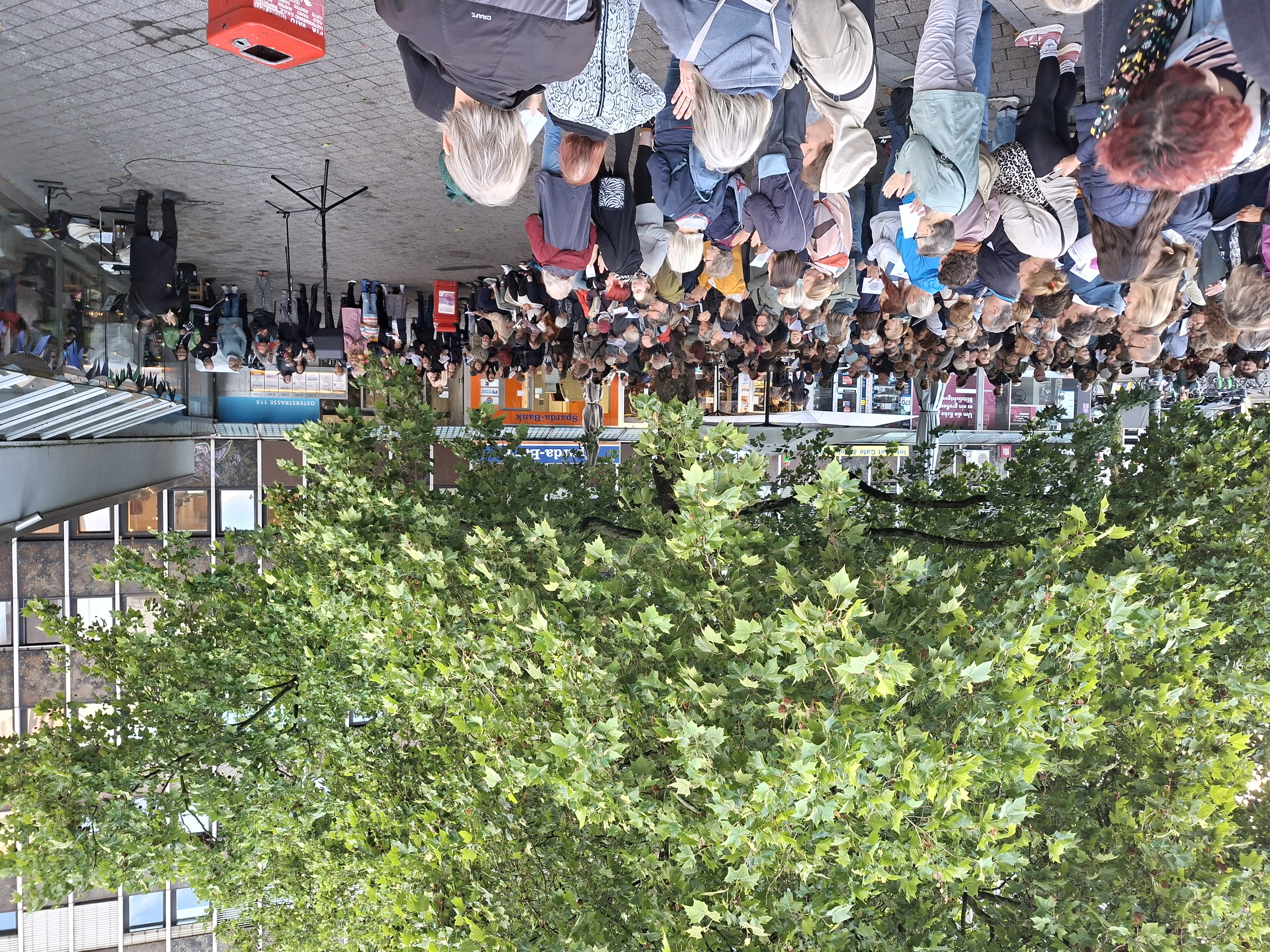 Viele Menschen stehen unter einem großen Baum in der Innenstadt, im Hintergrund Ladenfronten und Gebäude.